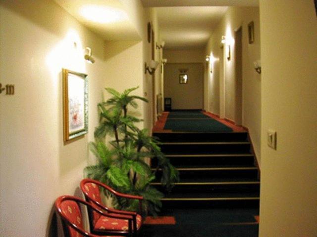 Rosary Sister Guest House Ein Karem Jerozolima Zewnętrze zdjęcie