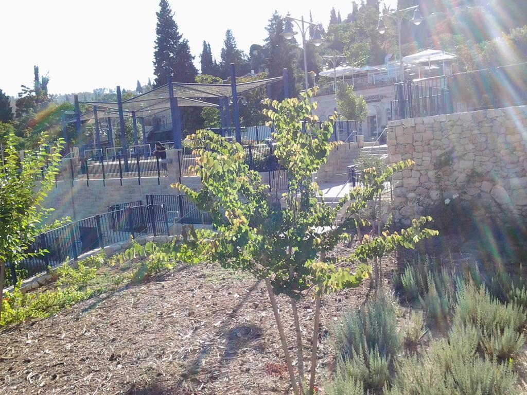 Rosary Sister Guest House Ein Karem Jerozolima Zewnętrze zdjęcie