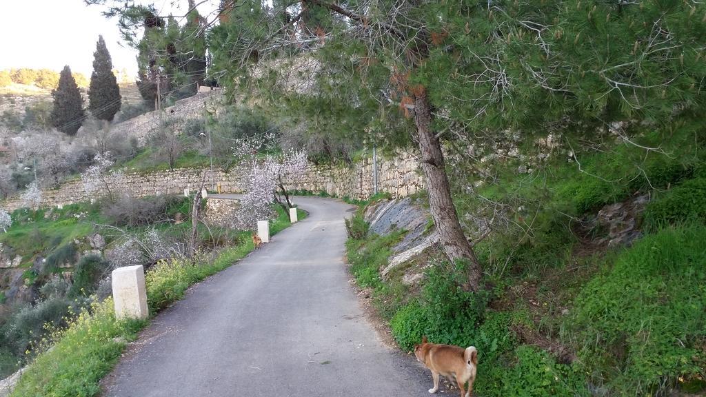 Rosary Sister Guest House Ein Karem Jerozolima Zewnętrze zdjęcie